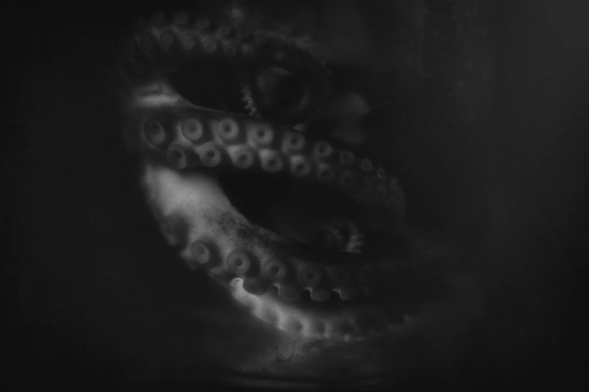 8X7A5478-Edit-Edit.jpg