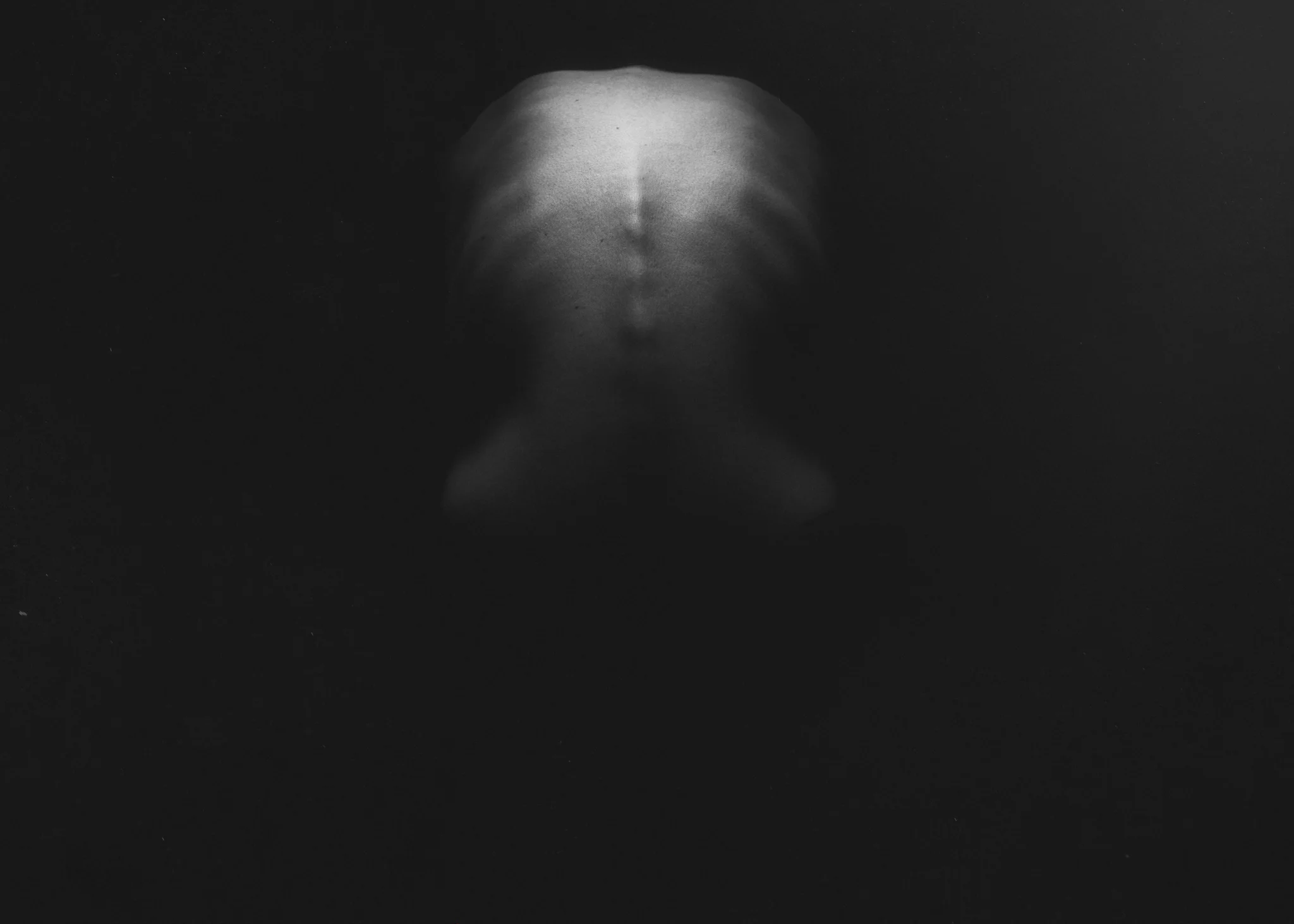 8X7A5696-Edit-Edit.jpg