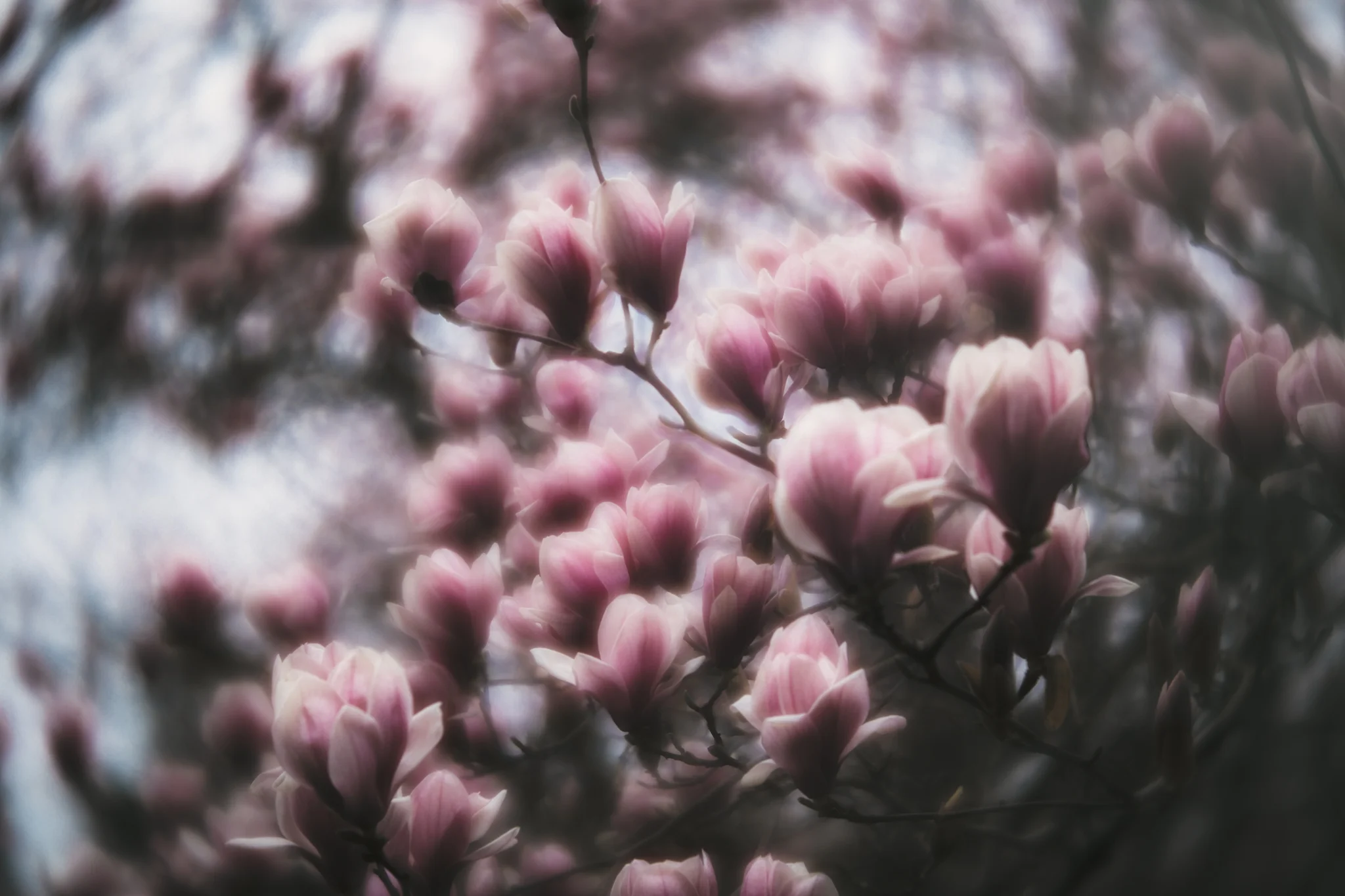 8X7A5835-Edit.jpg