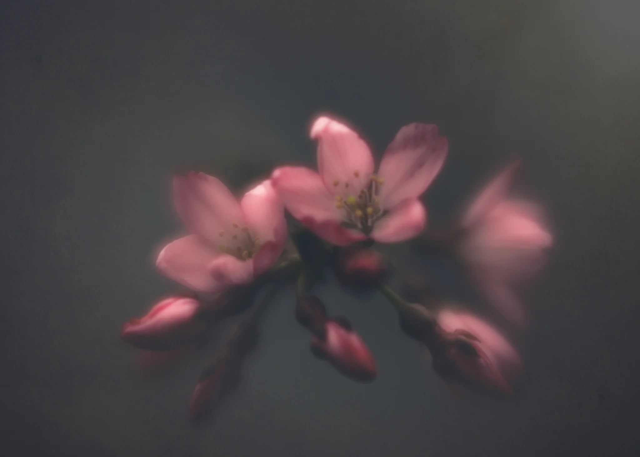 8X7A5865-Edit.jpg