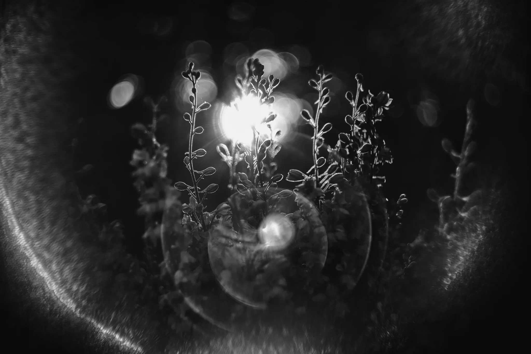 8X7A7537-Edit.jpg