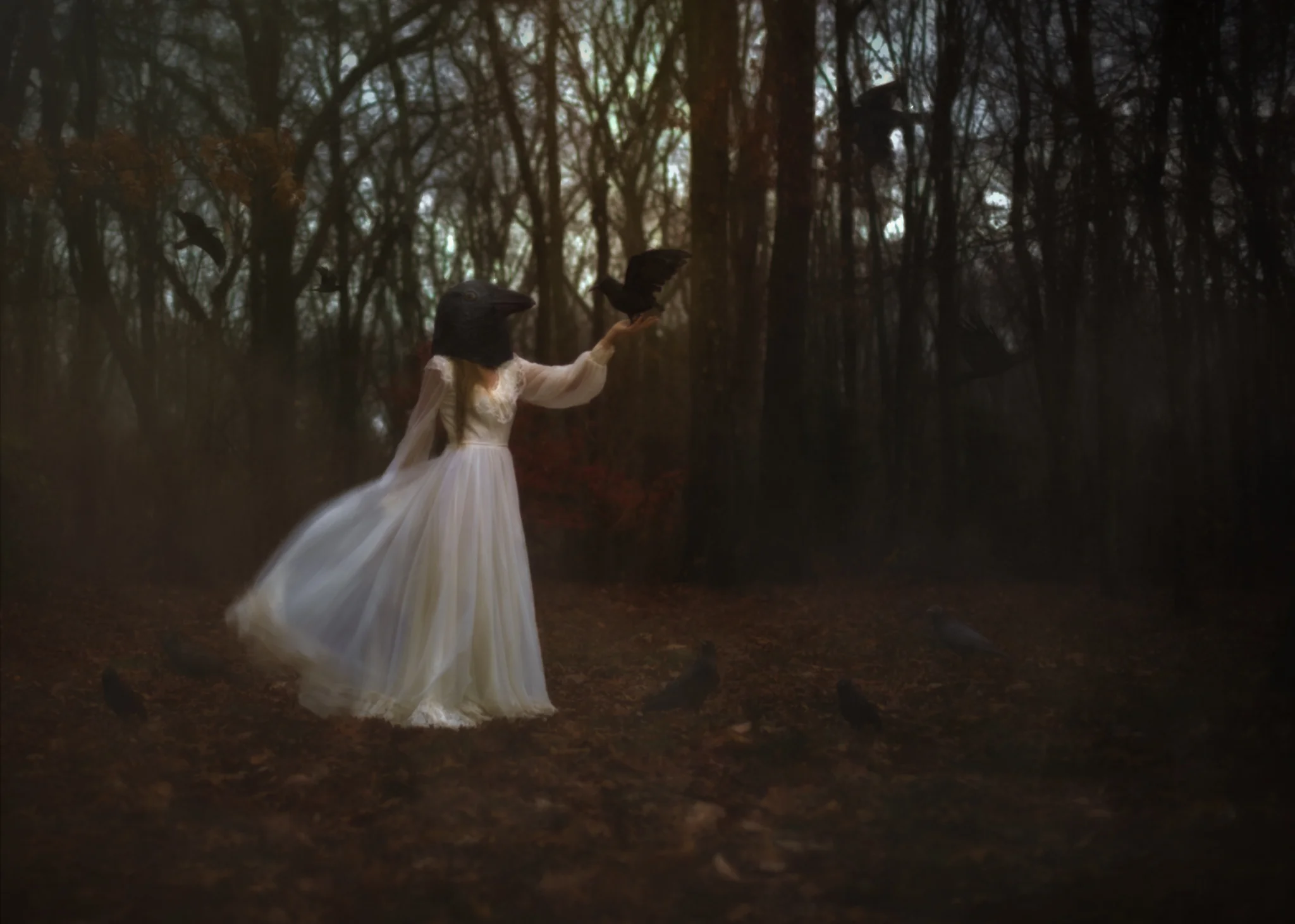 8X7A1097-Edit-Edit-Edit-Edit.jpg