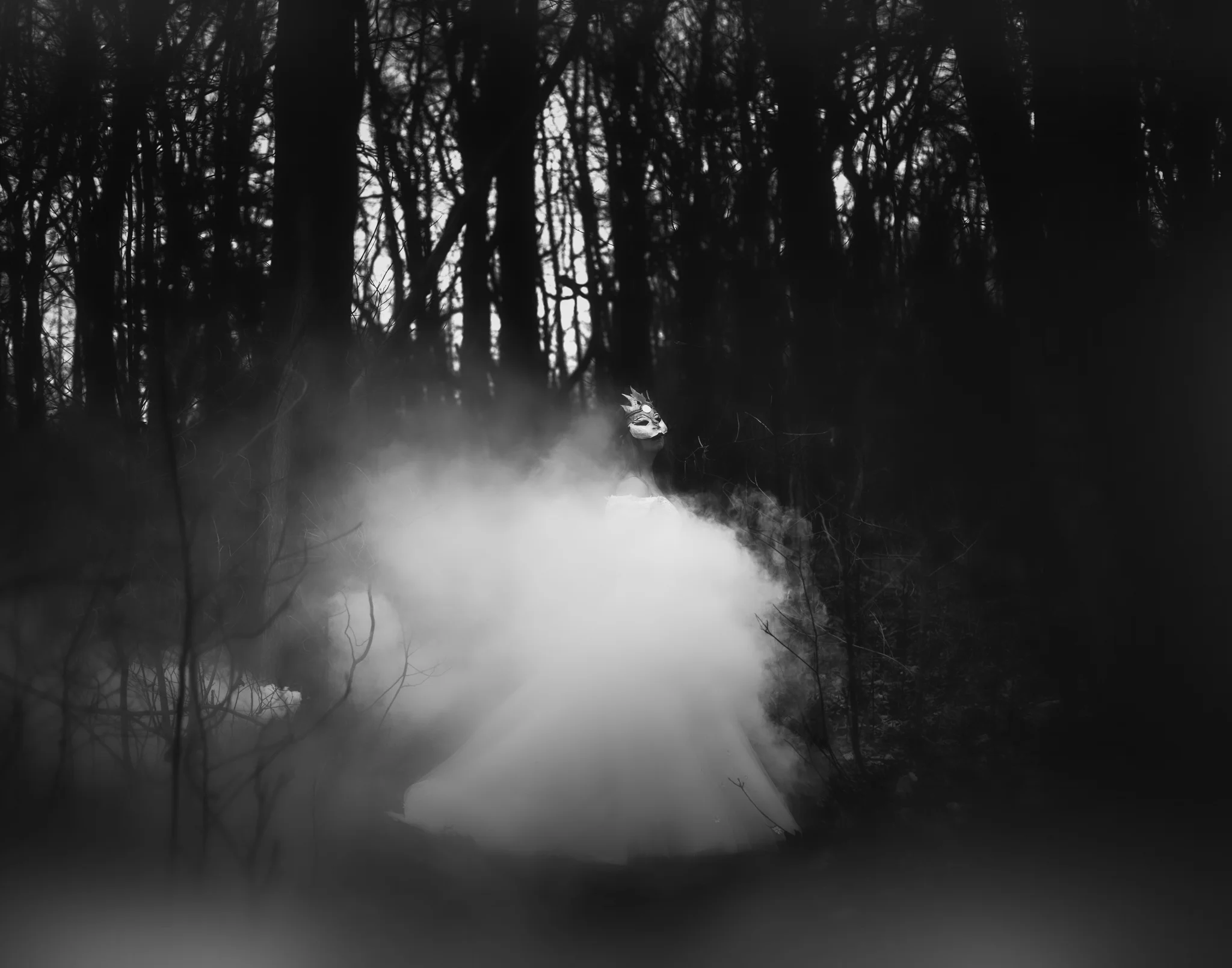 8X7A1613-Edit-Edit-Edit.jpg