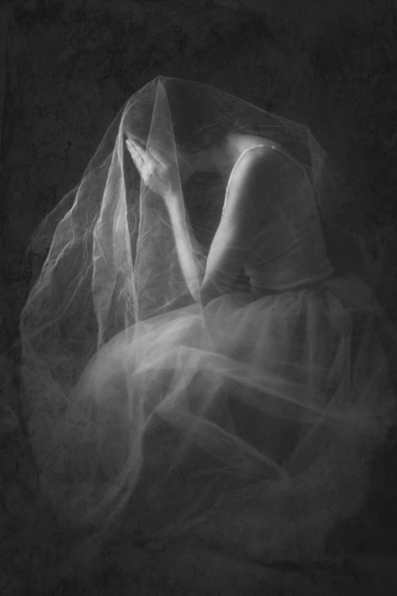 8X7A2487-Edit-Edit-Edit-Edit-2-Edit-Edit.jpg