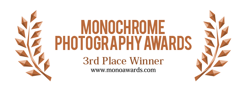 3rd_place_monoawards_2017.png