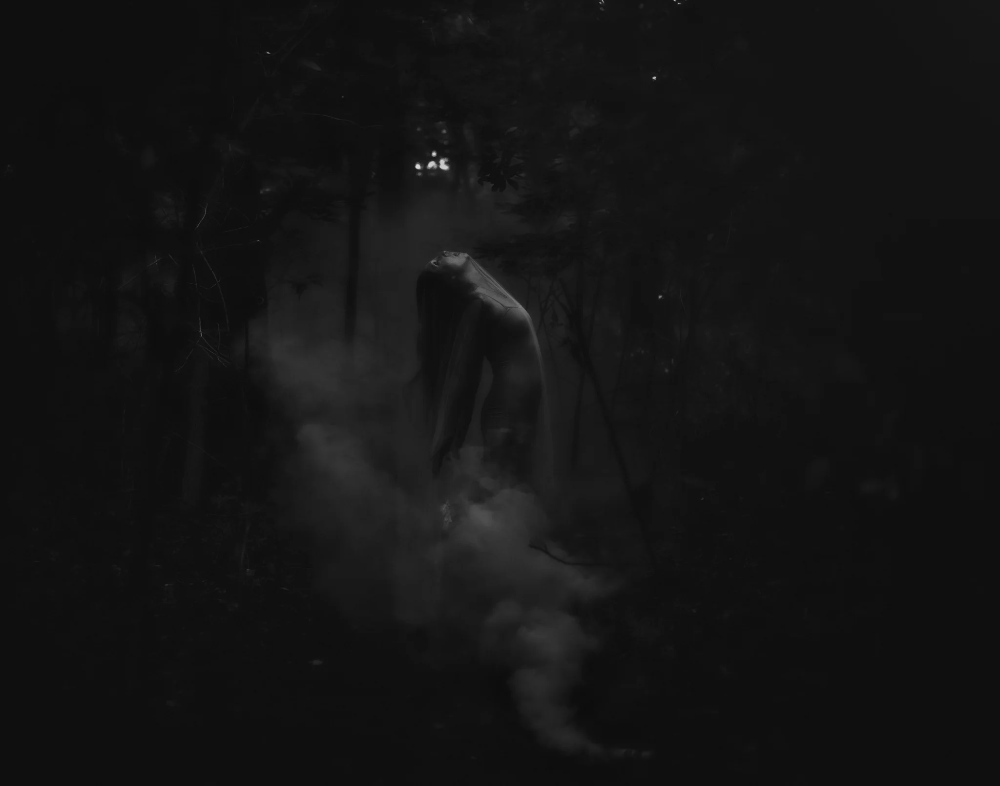8X7A5321-Edit-Edit-Edit-Edit.jpg