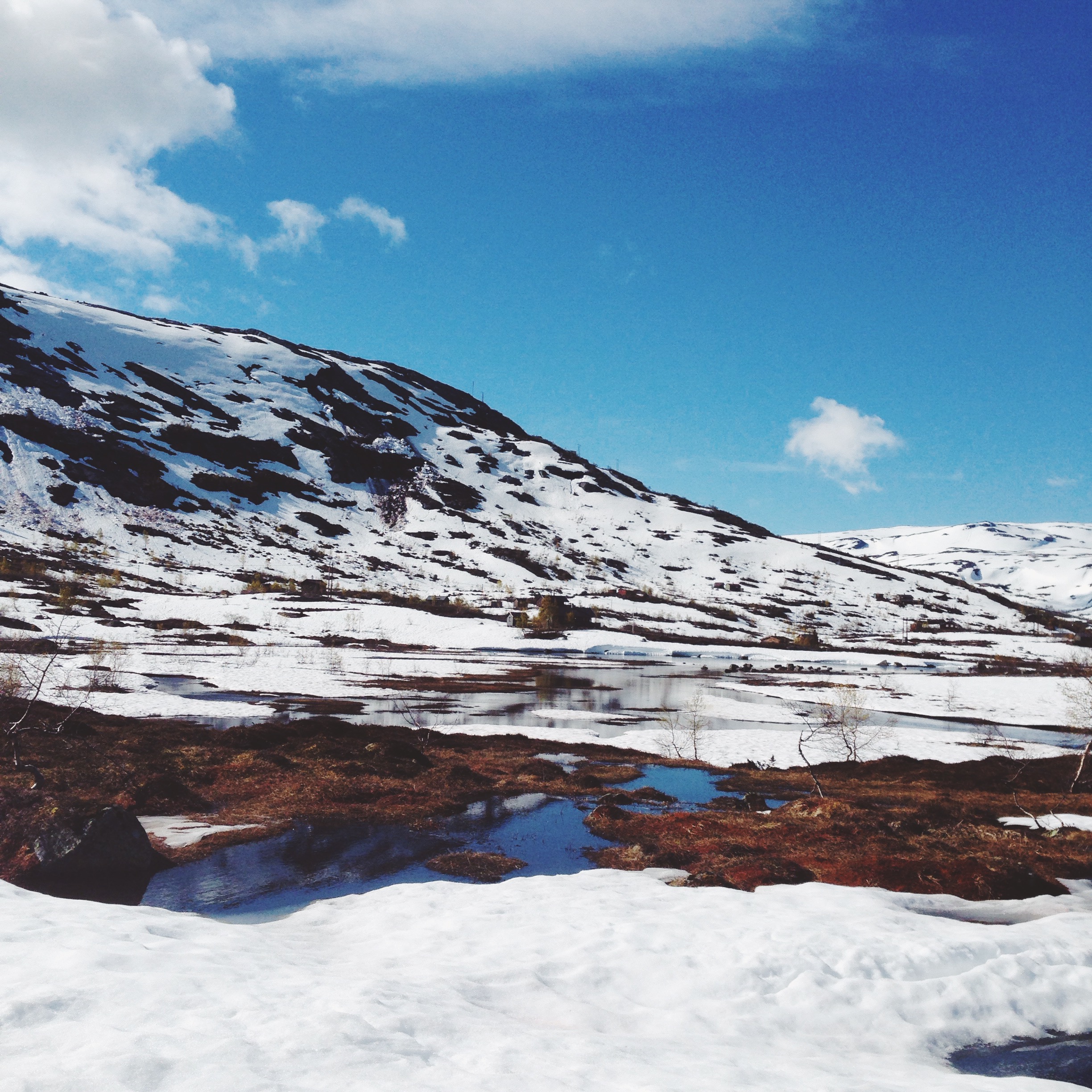 Cocoon_Cooks_Trolltunga_Norway_6