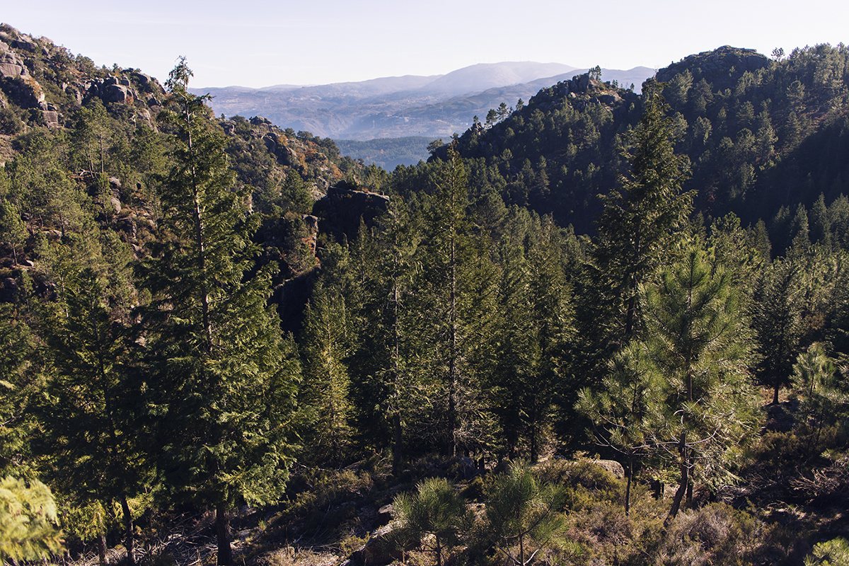 Cocoon_Cooks_Parque_Nacional_Peneda_Geres_68