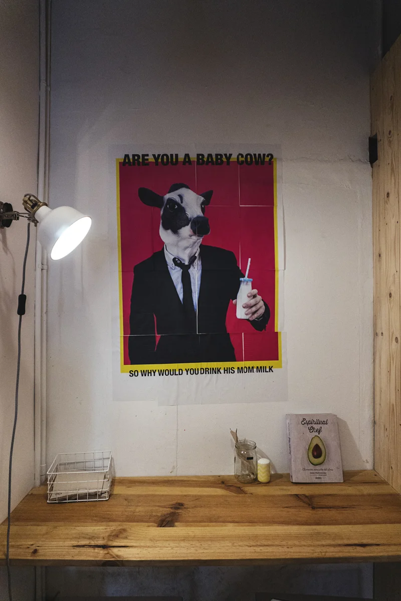 DSC09537.jpg