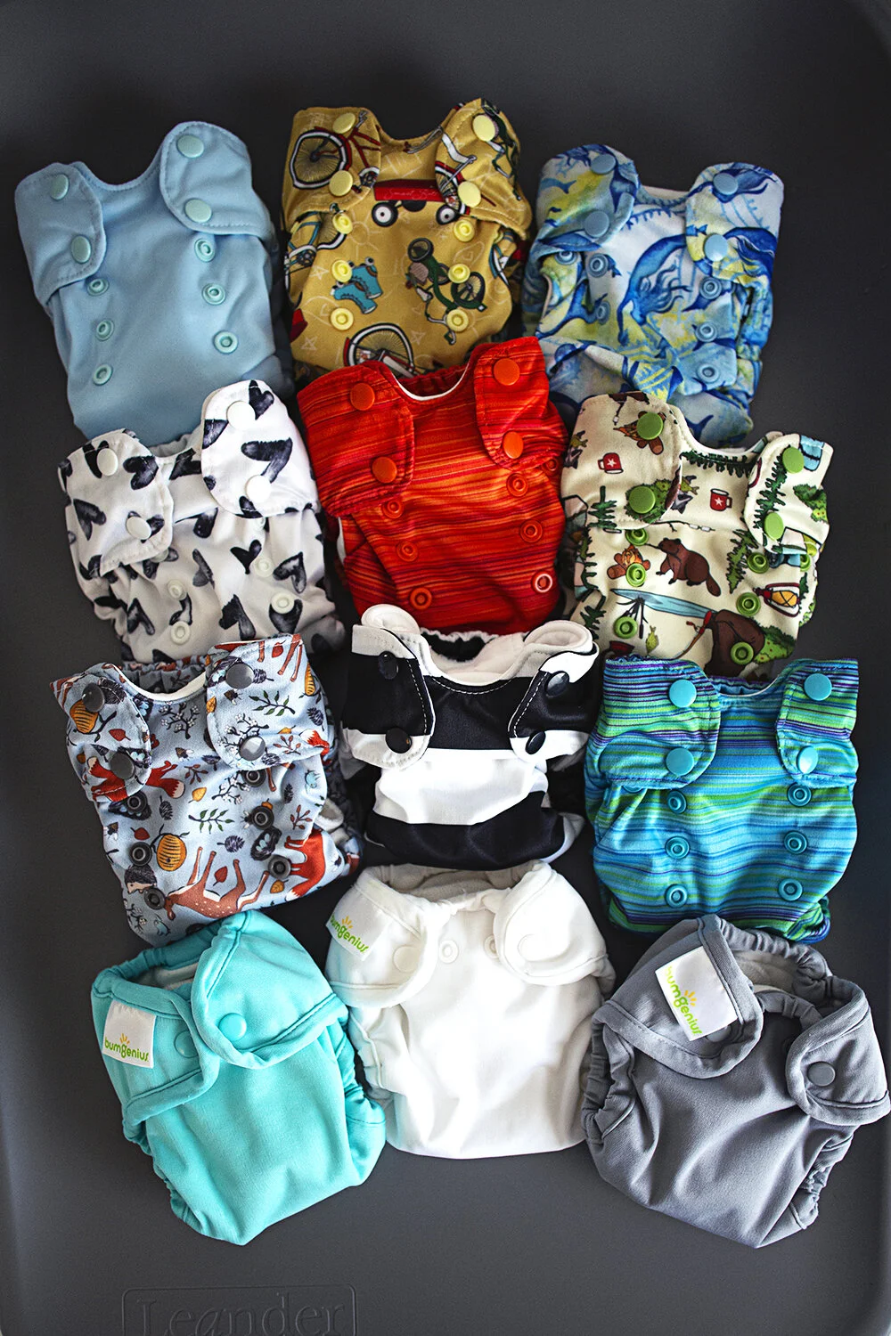 papa reusable diaper