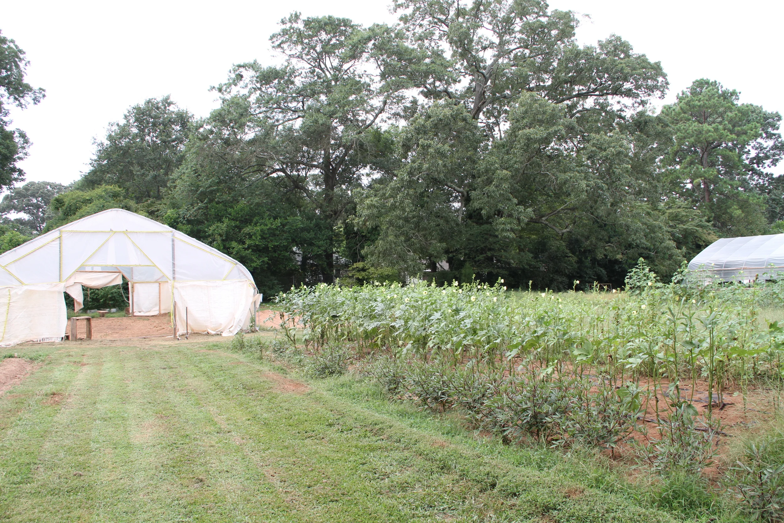 USDA Announces $97 Million Available to Expand Access to Healthy Food, Support Rural Economies