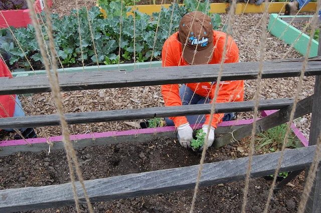 3 Food Initiatives That Could Transform West Oakland’s Food Desert