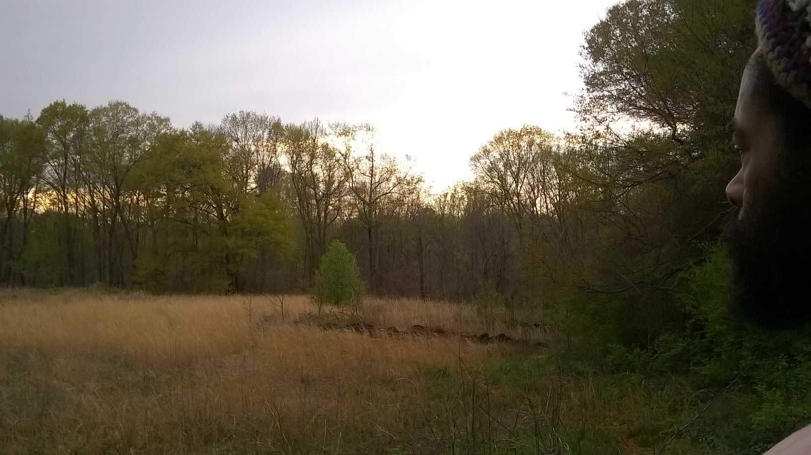 A Cracking Good Project Grows in Atlanta