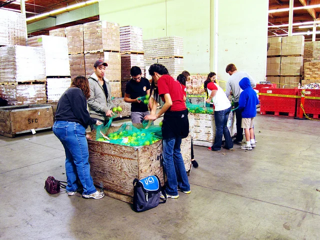 UGA, Food Bank of Northeast Georgia partner to increase access to local food, jobs