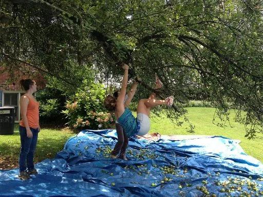 Five Days Left To Fund Concrete Jungle's Tree Parent Program