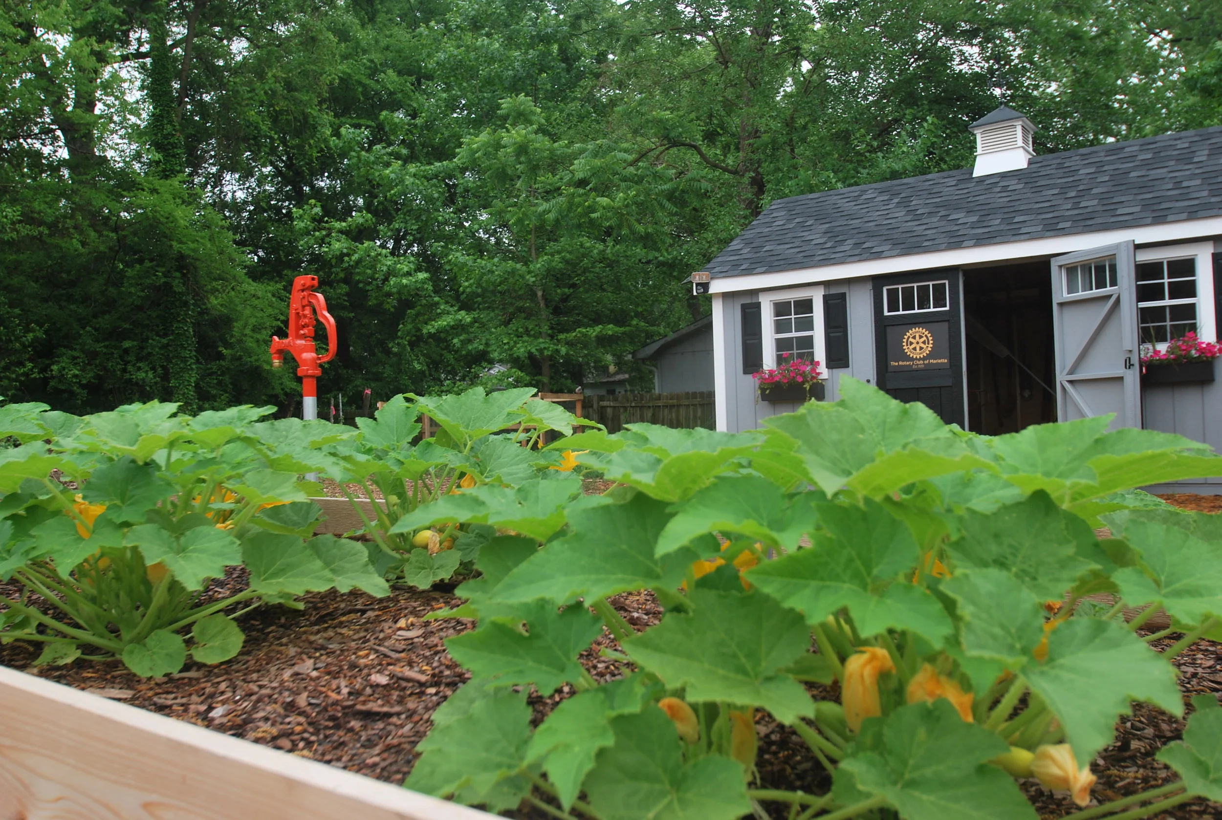 Reconnecting Families Seeks Community Garden Program Manager