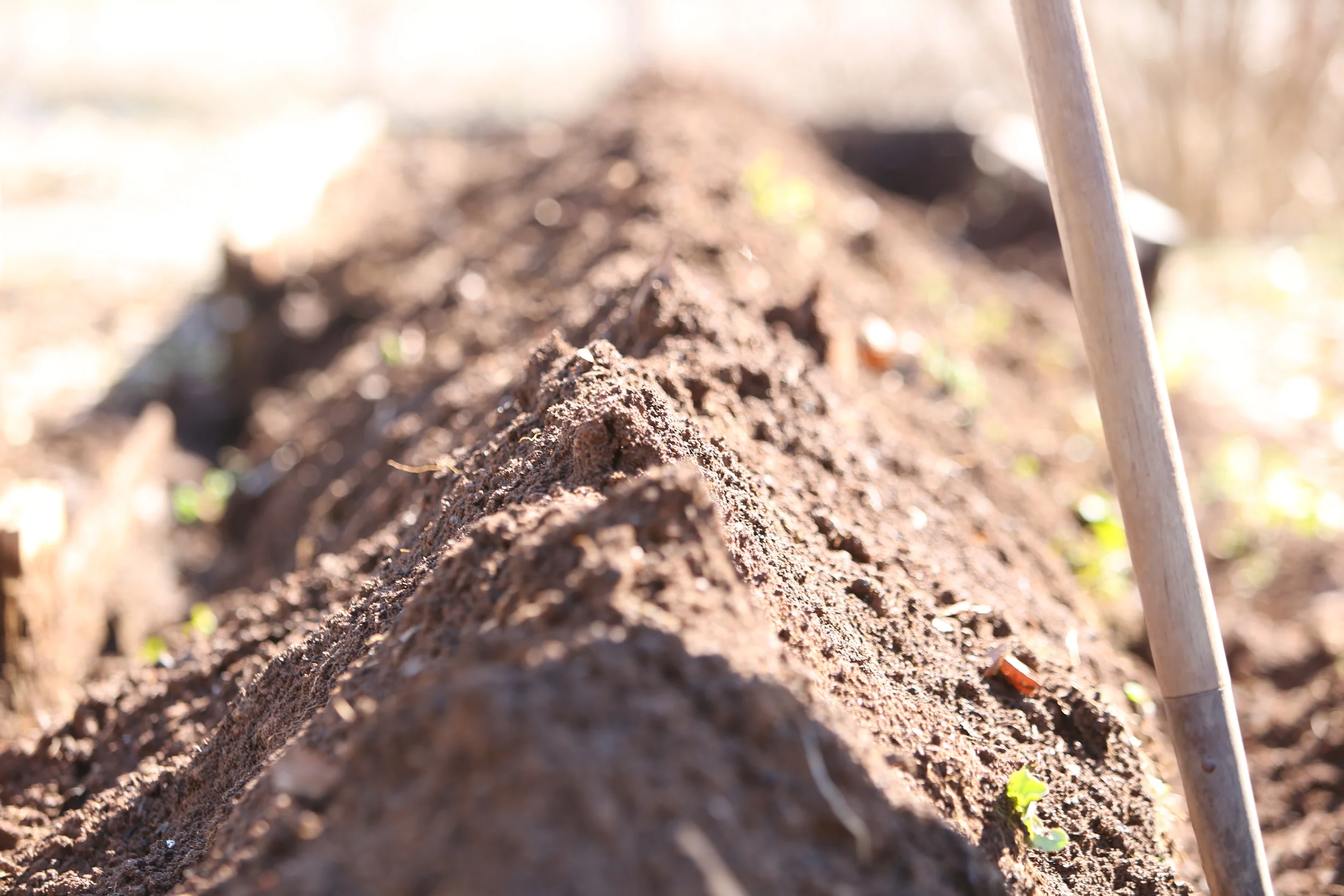 Terra Nova Compost  (DeKalb County)