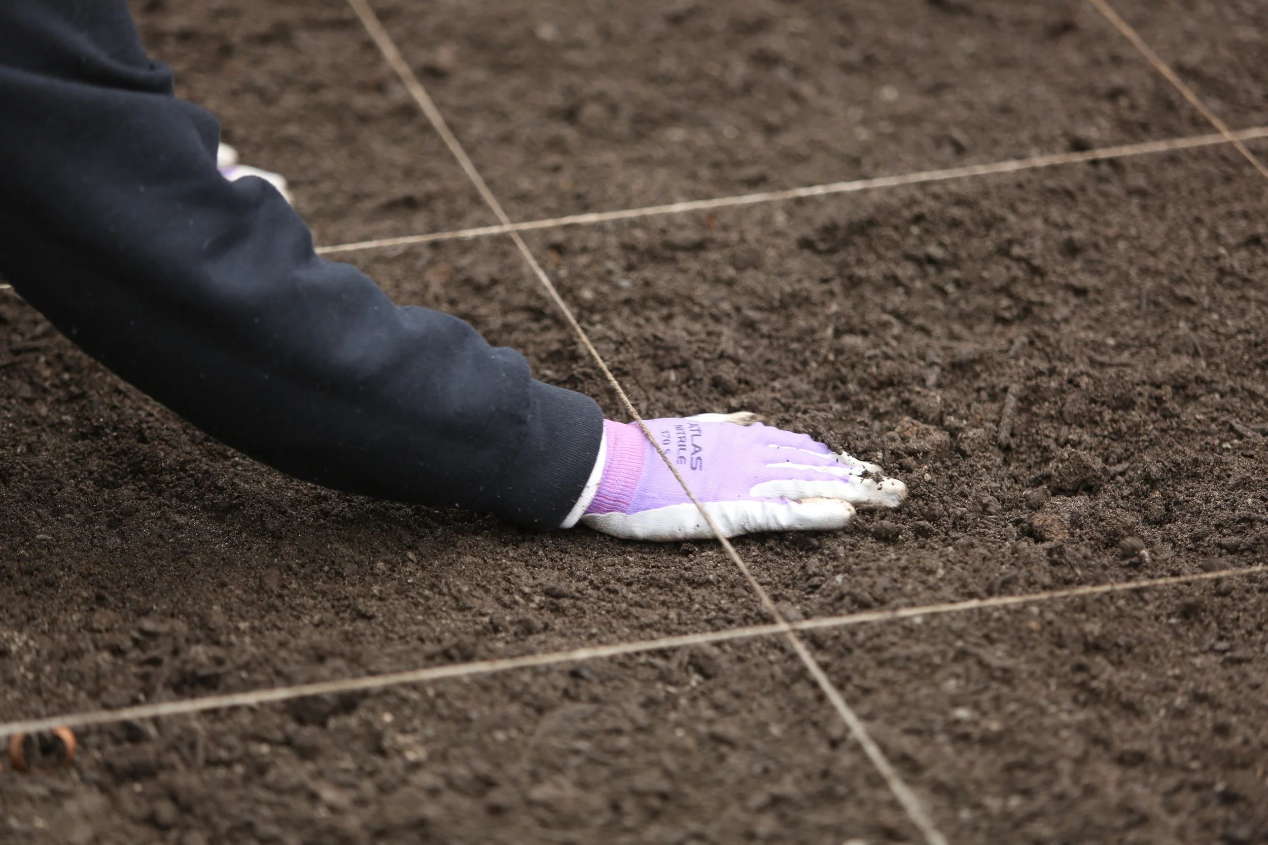 UGA Extension Gwinnett County Gwinnett County