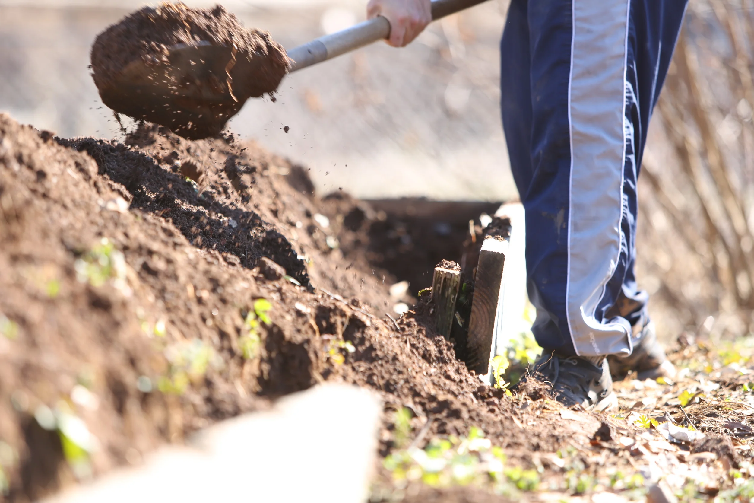 Truly Living Well (Fulton County)