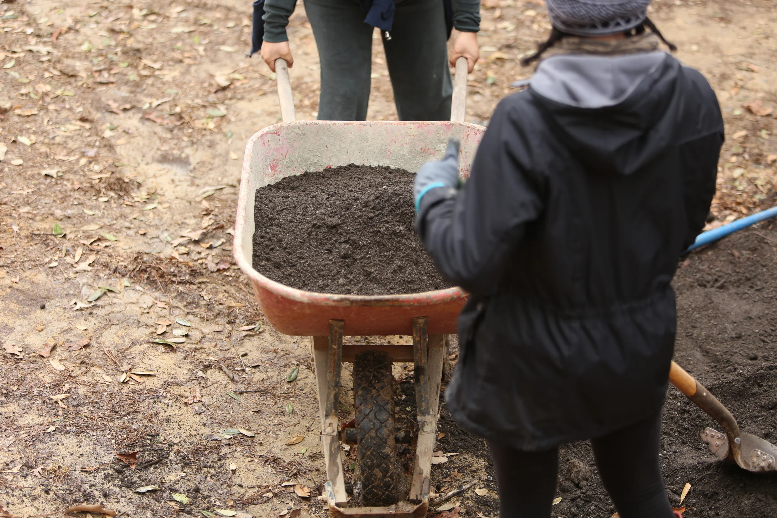 UGA Extension Clayton County