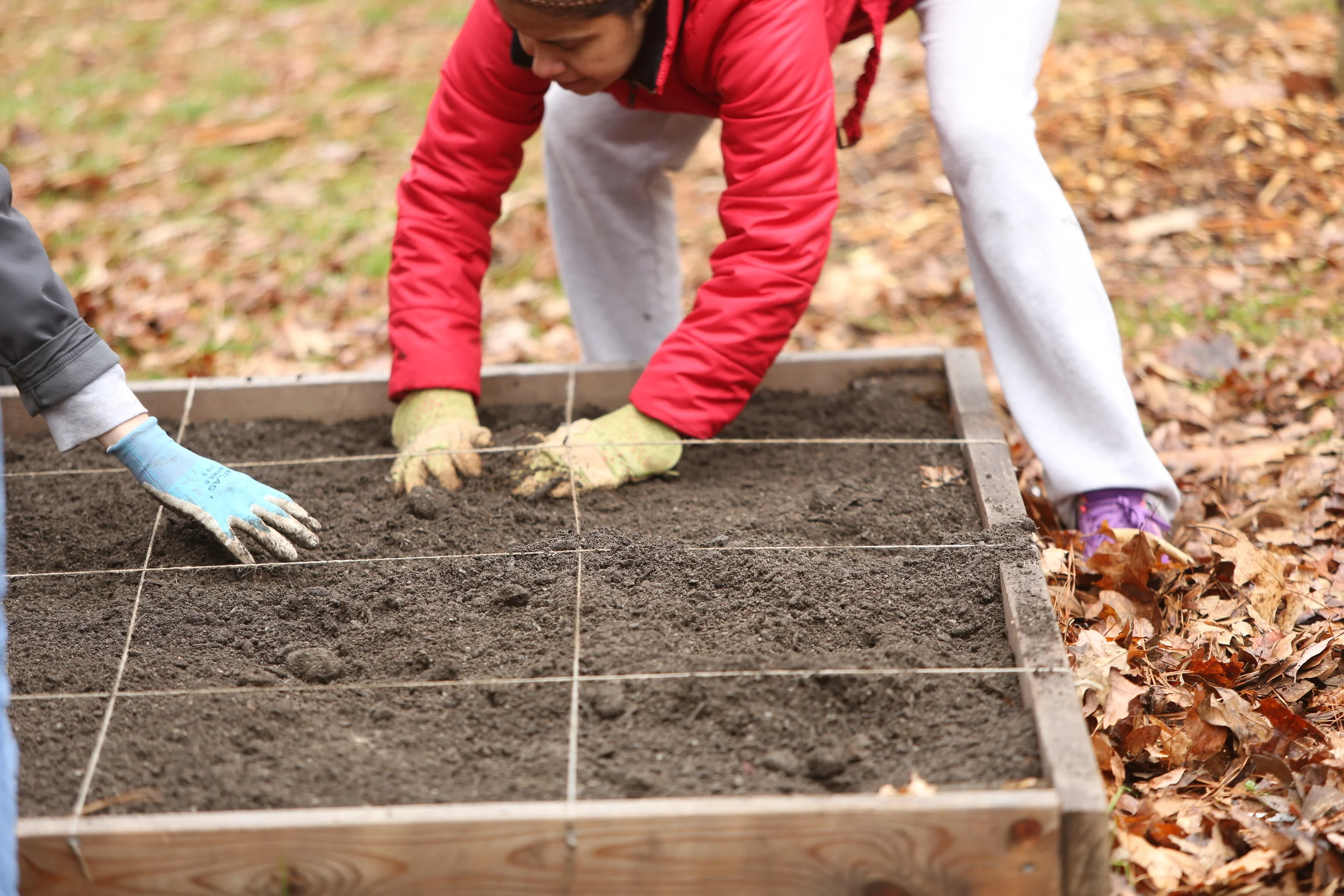  UGA Extension Gwinnett County