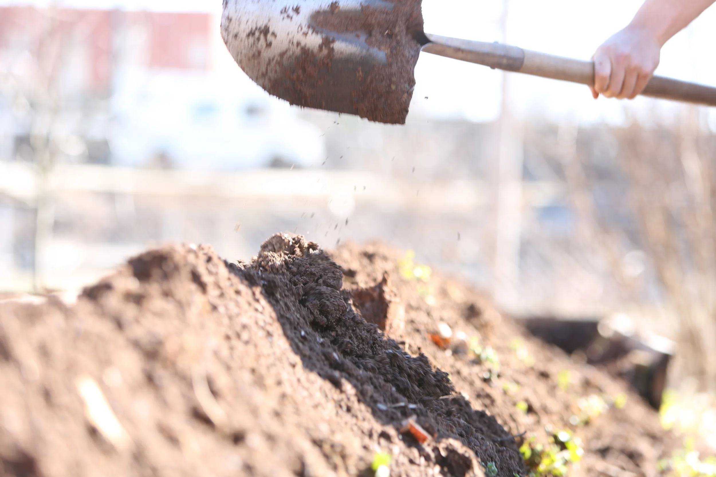  Vermiculture with UGA Extension Cobb County 