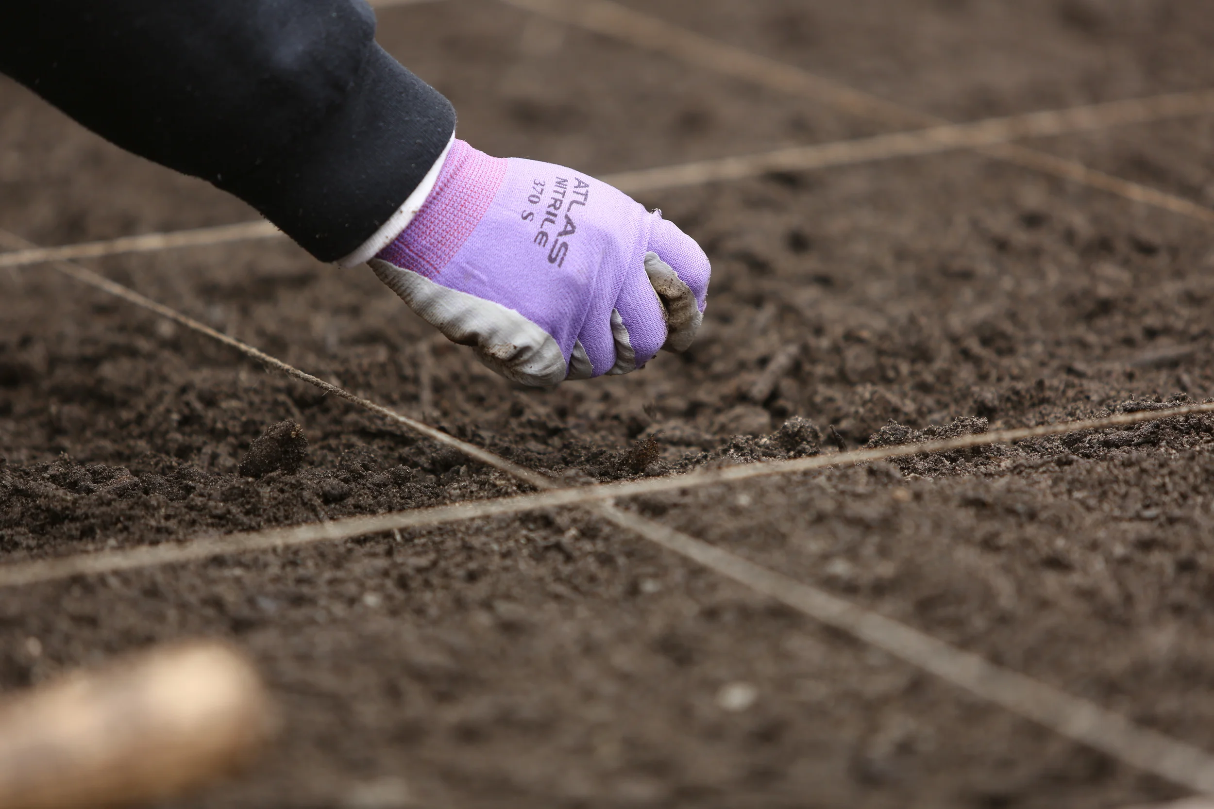 ACFB (Clayton County)