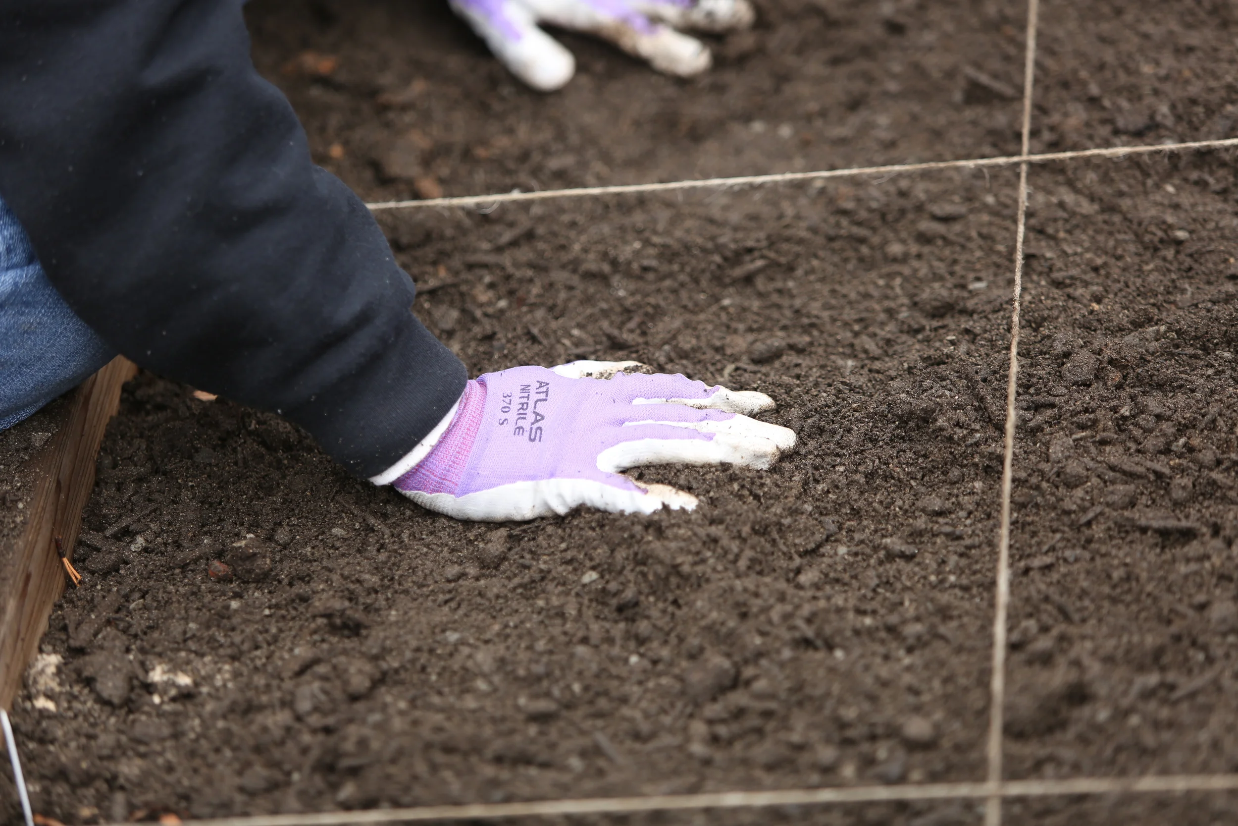 UGA Extension DeKalb County