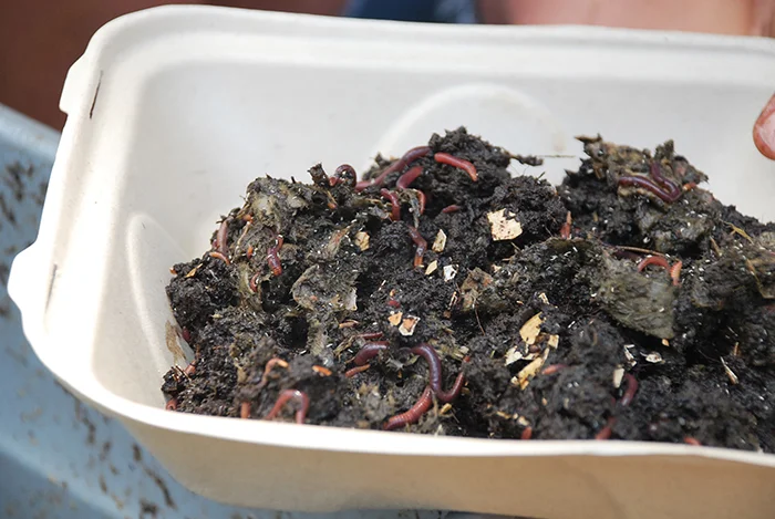  Terra Nova Compost (Fulton County)