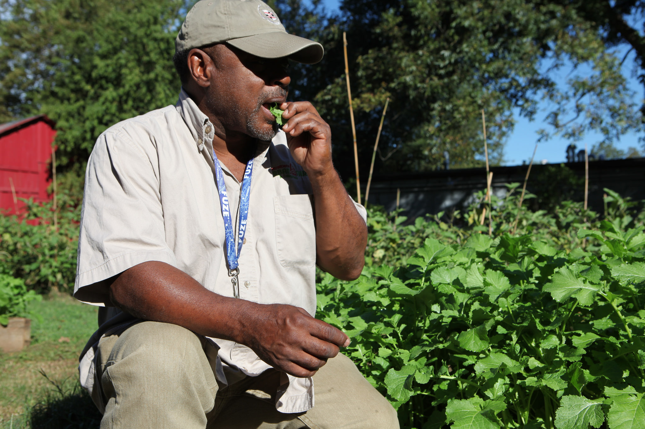 Metro Atlanta Urban Farm's Bobby Wilson gets a taste of spicy mustard greens.