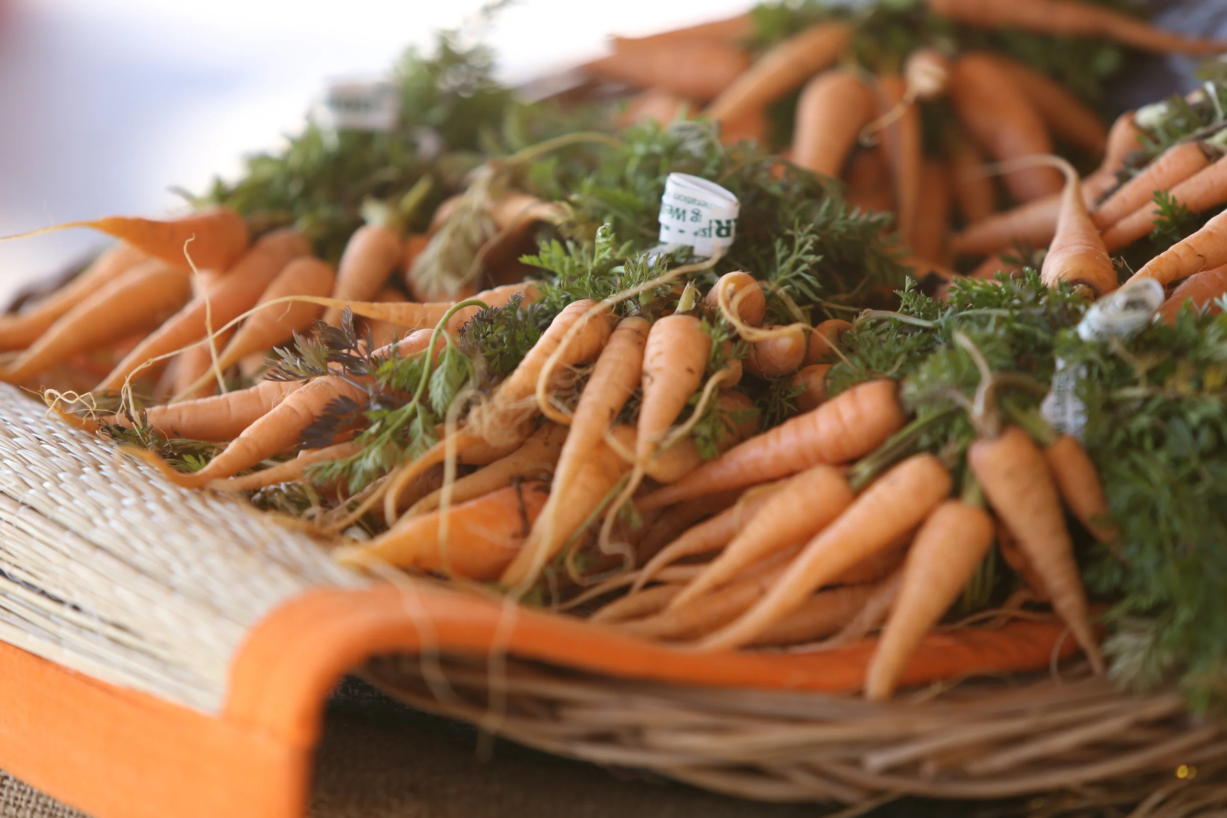 The Common Market Georgia is Hiring