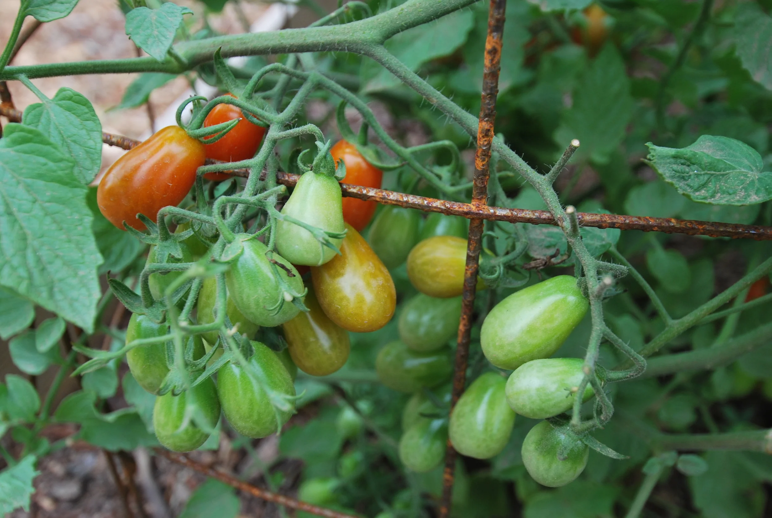 The Wylde Center is Hiring