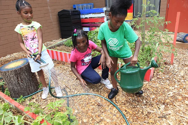 Trees Atlanta hiring Camp Counselors