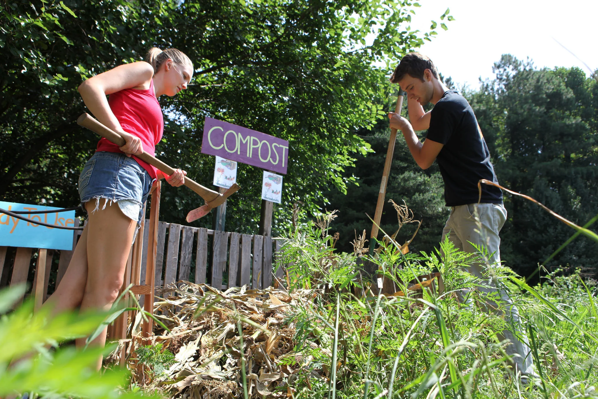 Trees Atlanta hiring Camp Intern/Junior Counselor
