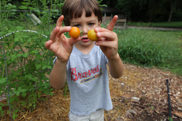 Cooking with C.H.O.I.C.E.S. registration open