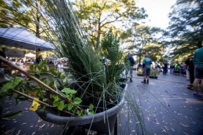 4th Annual Native Wildflower & Vine Sale