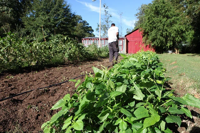  Metro Atlanta Urban Farm Leadership Meeting & Workshop