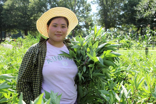 Global Growers Network is hiring