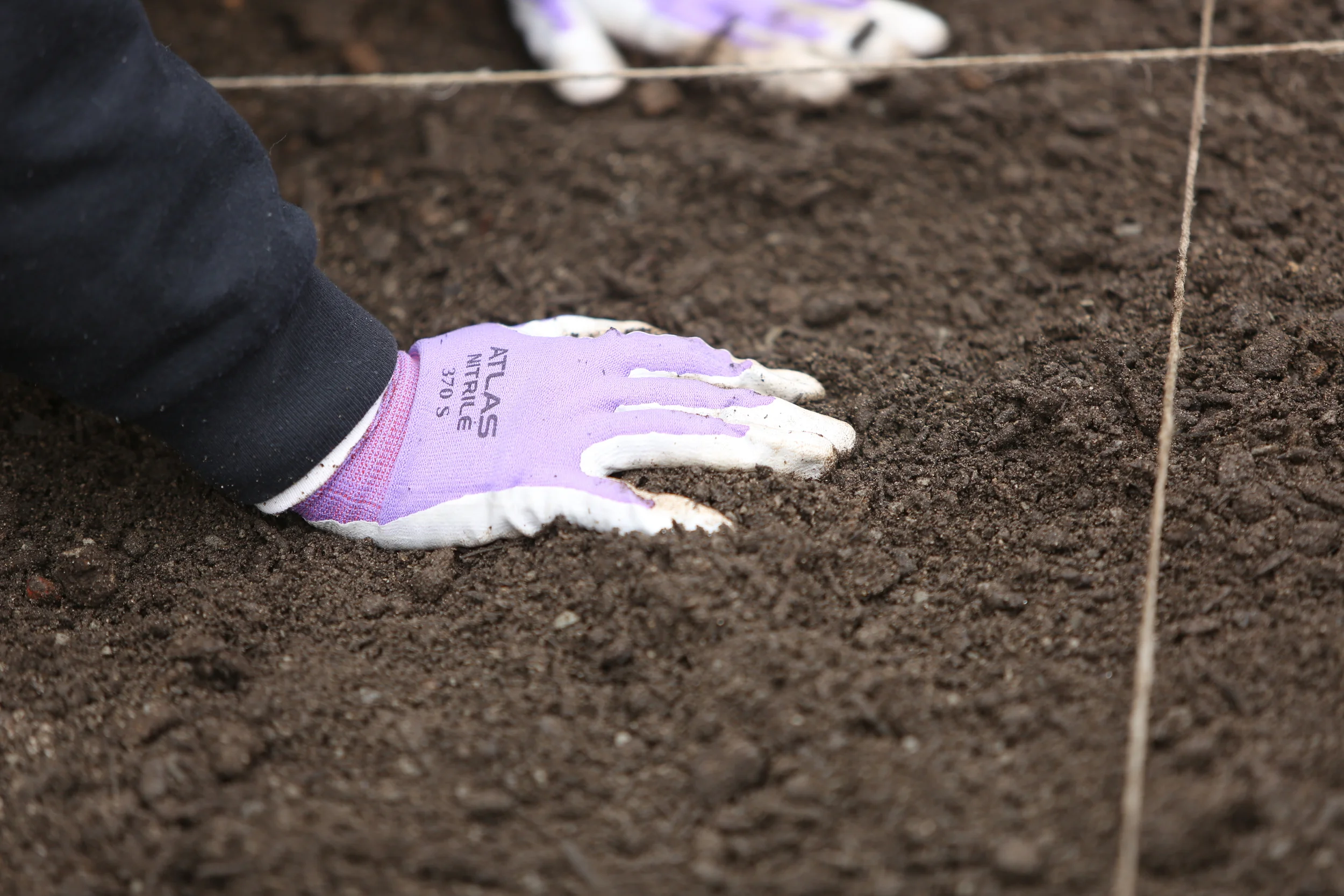 UGA releases publication to assess soils in urban environments