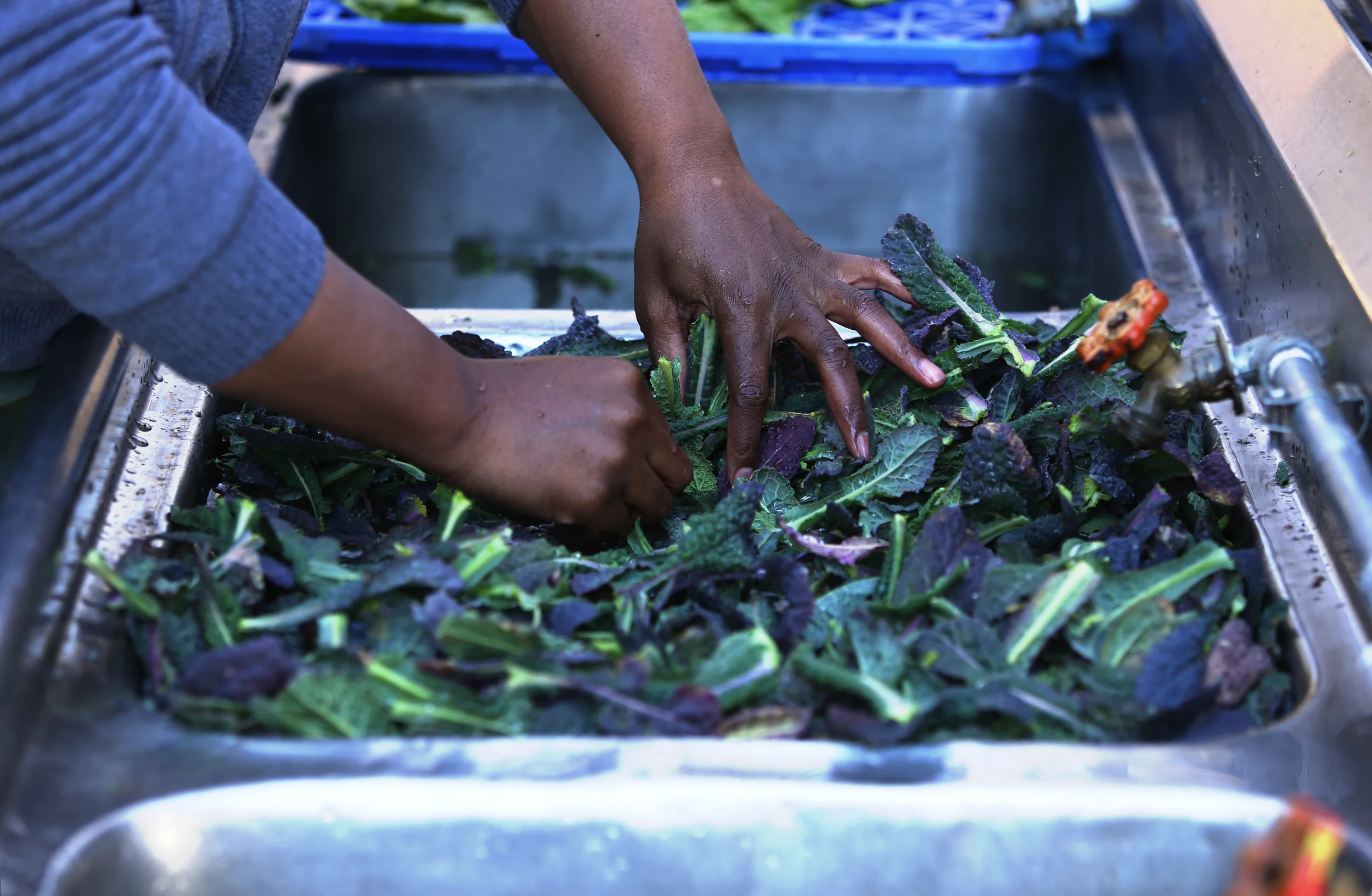 The Common Market Georgia is Hiring