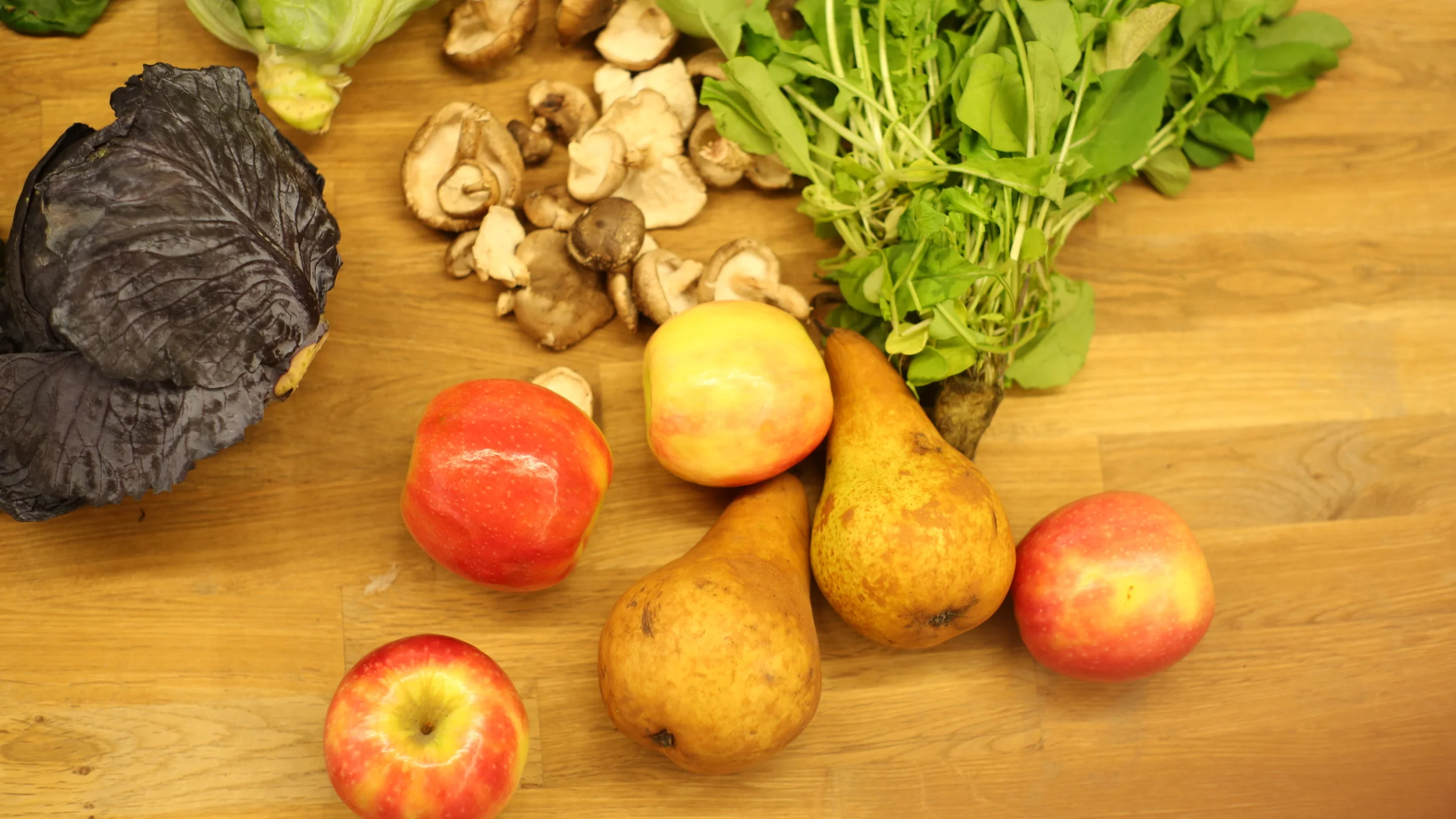 Fresh Harvest hiring Customer Service Representative