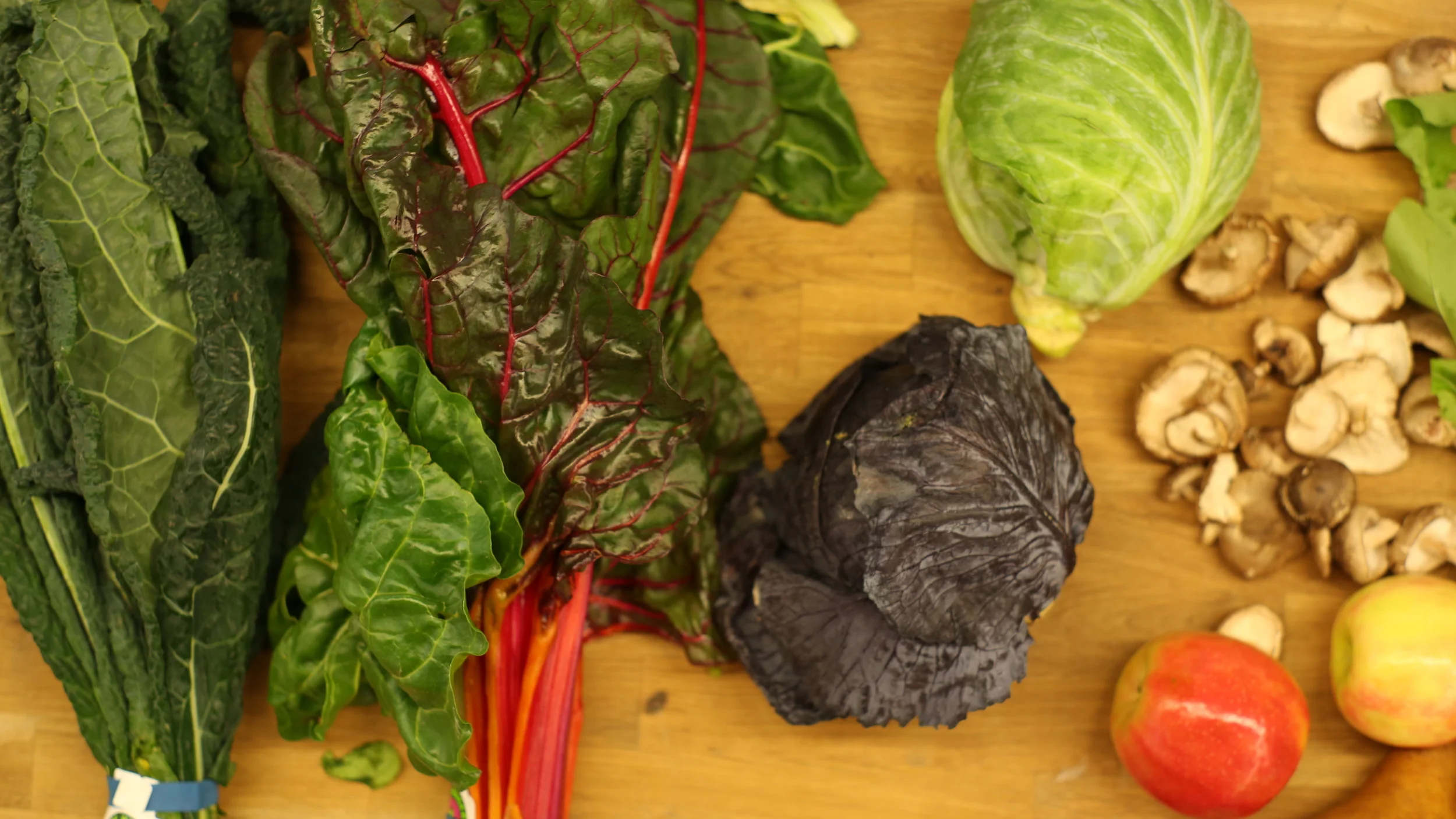 Georgia Organics is Hiring a Development Coordinator