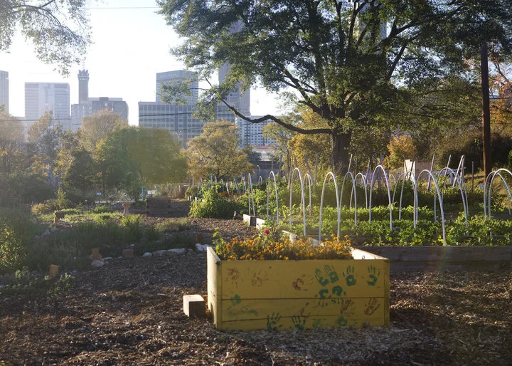 TRULY LIVING WELL CENTER FOR NATURAL URBAN AGRICULTURE