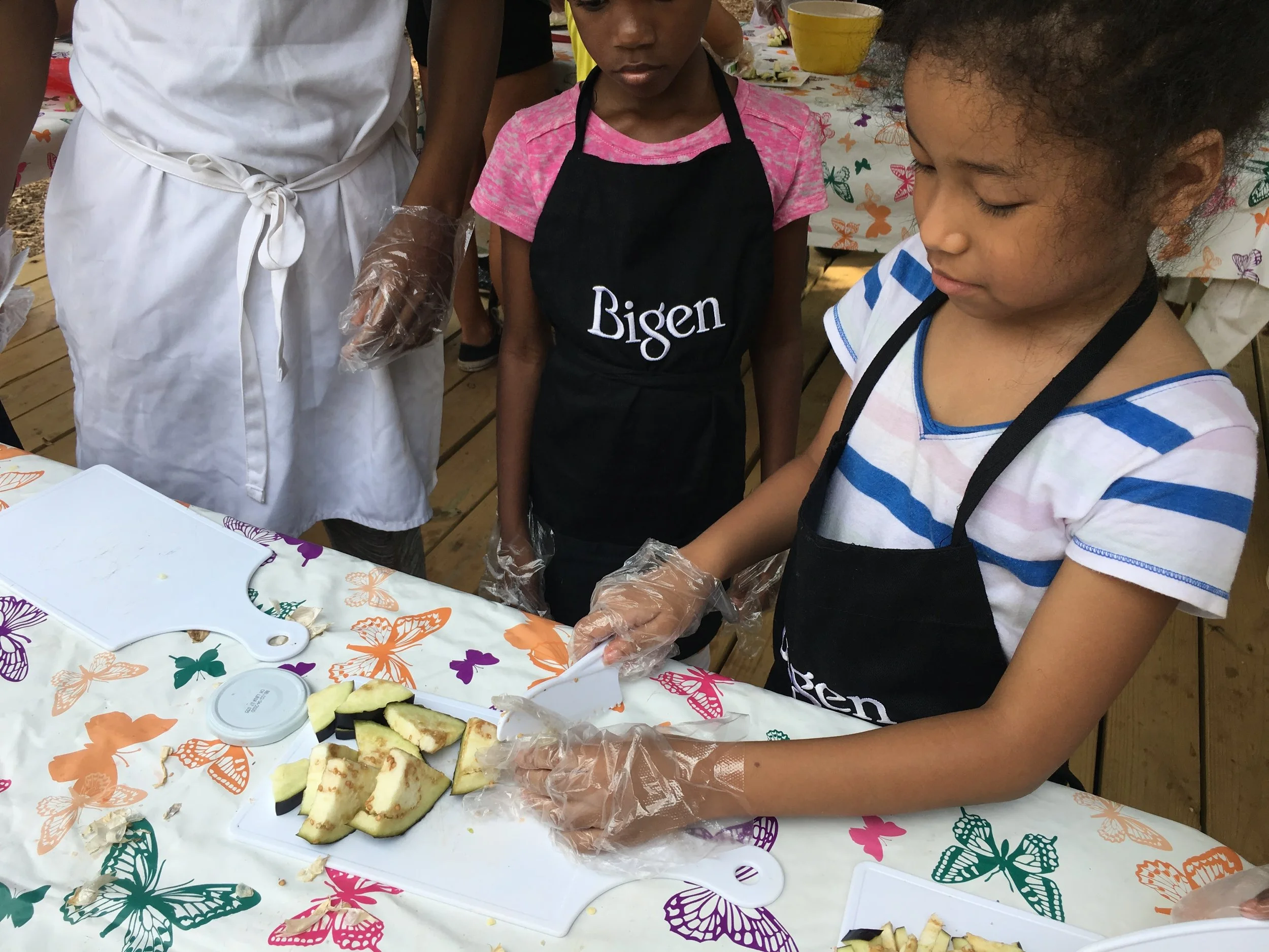 Truly Living Well Introduces Kids to Urban Farming through STEAM Summer Camp: NOW ACCEPTING APPLICATIONS