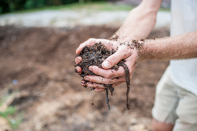 Did you know you can have your soil tested for free at Soil Festival 2018? Click here for step-by-step instructions on collecting your soil sample to bring for testing. 