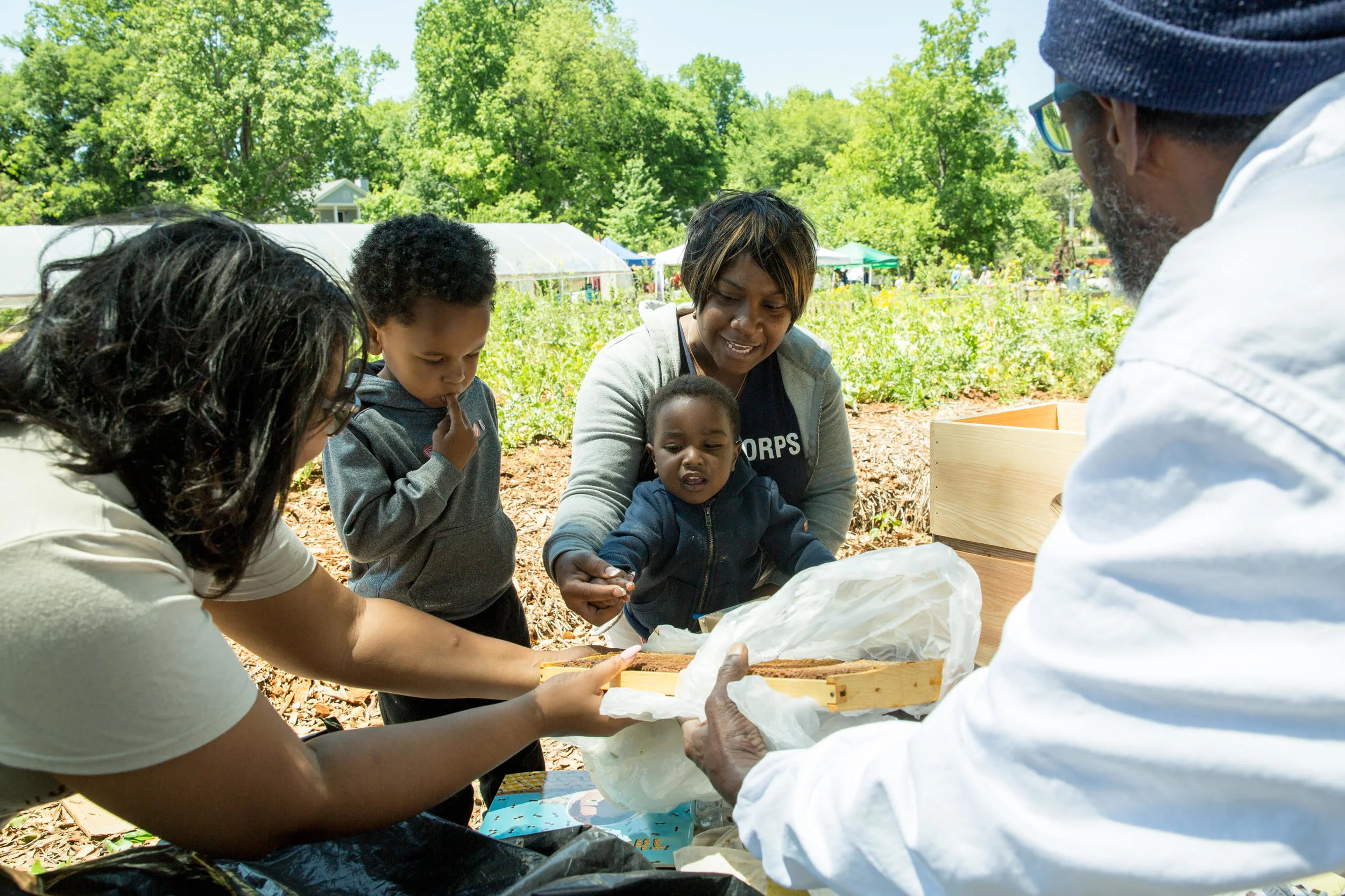 The Kids Corner at Soil Festival 2018 is better than ever! Click here to learn more about the activities we have planned.