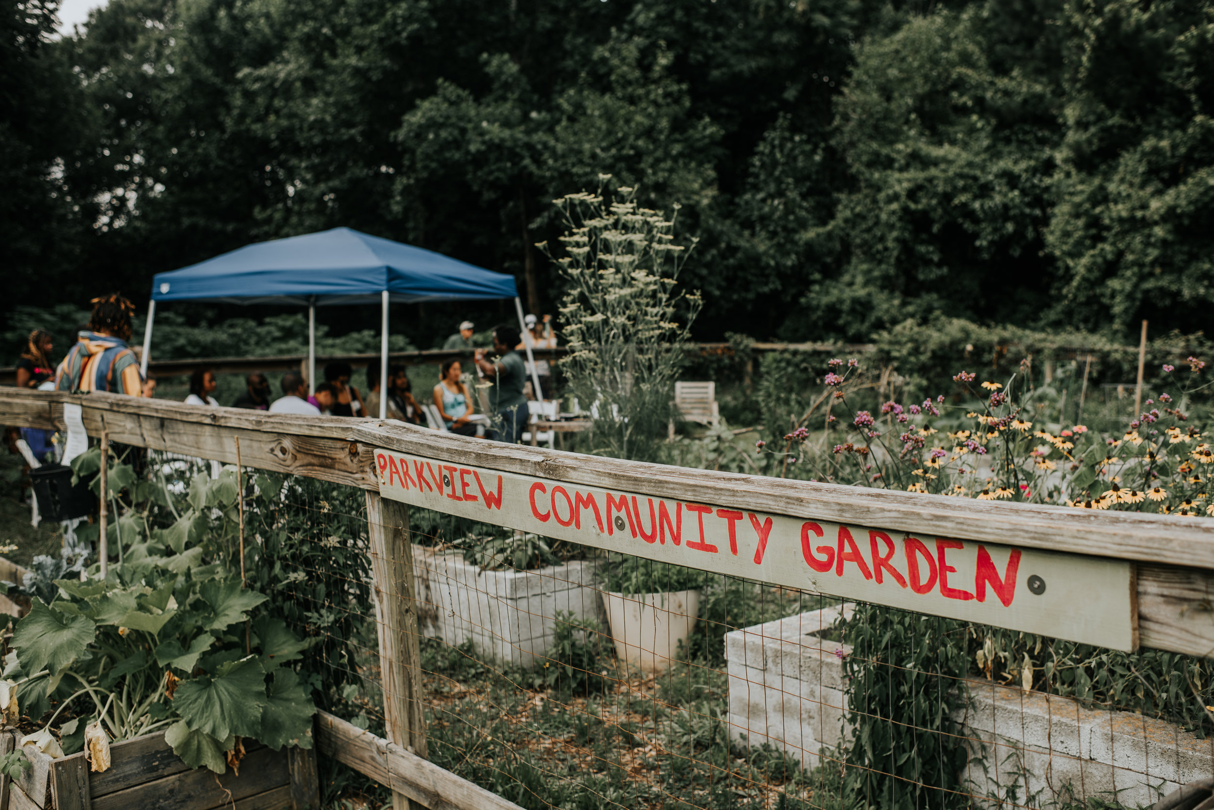 parkview community garden-13.jpg