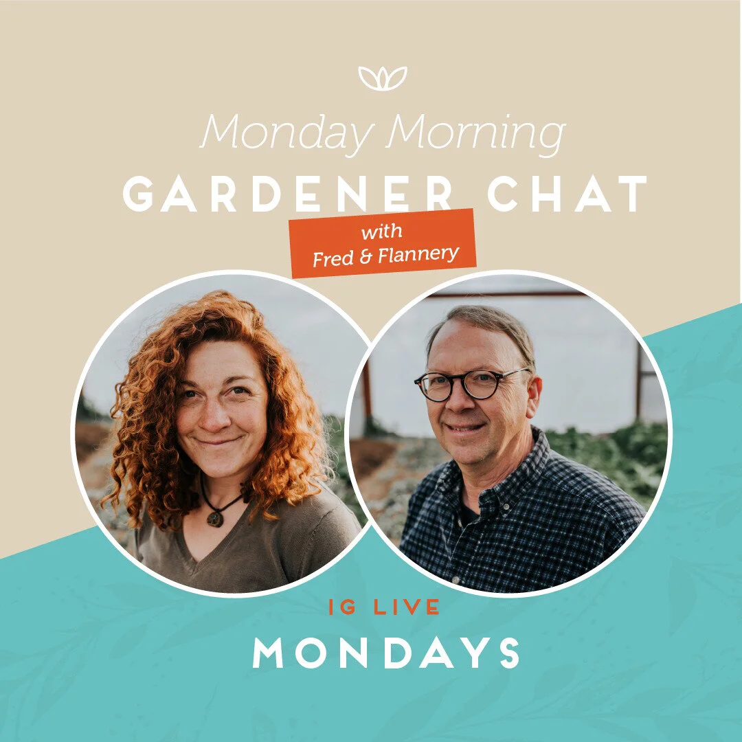 Monday Morning Gardener - May 11