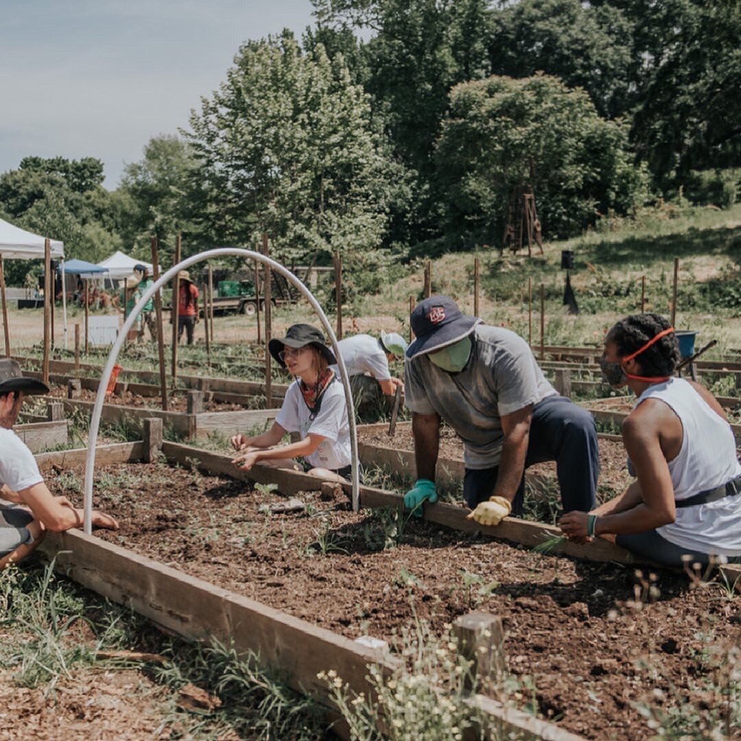 Are you starting a community garden? Have you already started one but need a little guidance? Register for the @communitygardeningacga Growing Communities Workshop on July 22-23. This in-depth, 2-day workshop is based on the ACGA's curriculum for com