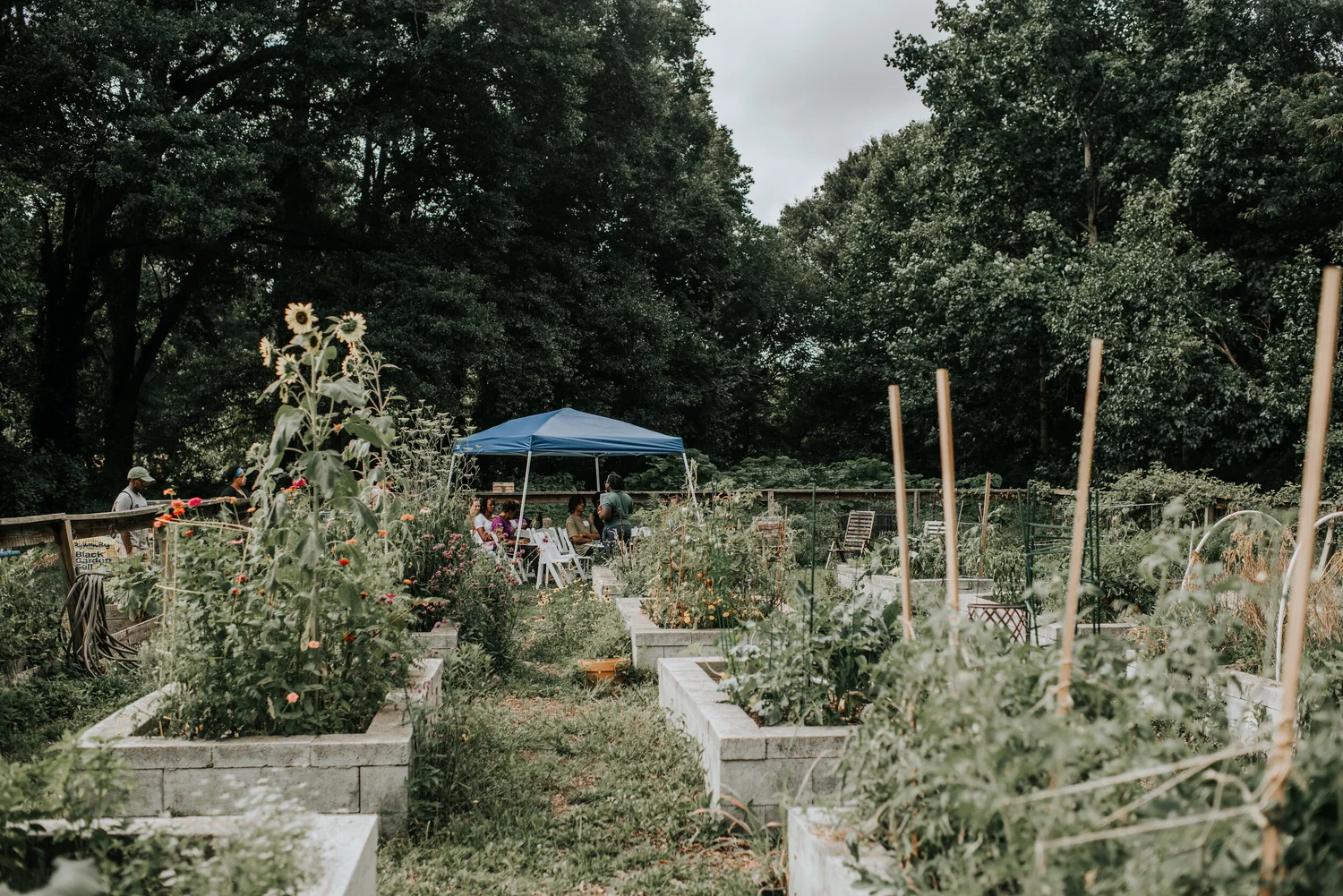 Community Gardens — Food Well Alliance